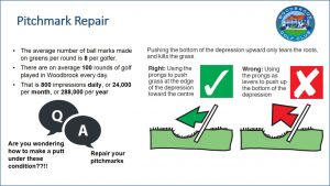 pitchmark-repair